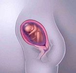 27 Haftalık Gebelikte Annede ve Bebekte Yaşanan Değişimler 27 Haftalık Gebelikte Annede ve Bebekte Yaşanan Değişimler