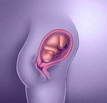 28 Haftalık Gebelik 28 Haftalık Gebelik