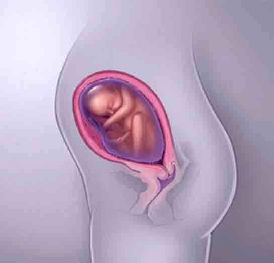 27 Haftalık Gebelikte Annede ve Bebekte Yaşanan Değişimler