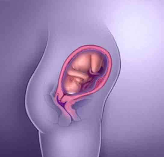 28 Haftalık Gebelik