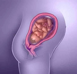 39 Haftalık Gebelikte Annede ve Bebekte Yaşanan Değişimler 39 Haftalık Gebelikte Annede ve Bebekte Yaşanan Değişimler