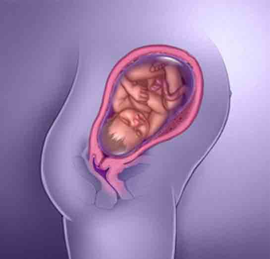 39 Haftalık Gebelikte Annede ve Bebekte Yaşanan Değişimler